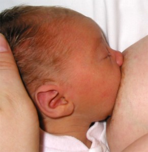 breastfeeding_infant_wikipedia